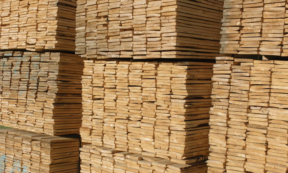 Fondi di masonite in legno di abete - Balestra SRL