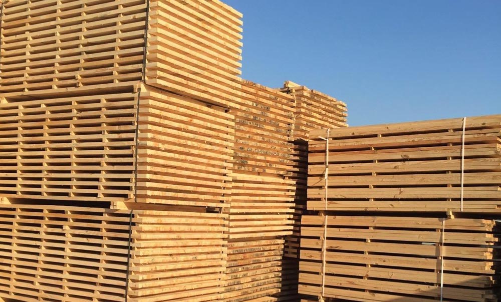 Quadrotti in legno per cassette ortofrutticole - Balestra SRL